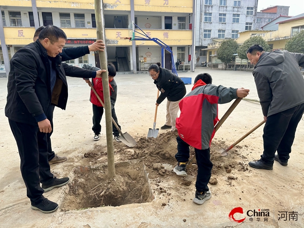 公益善举润童心 绿意盎然书希望——爱心人士为西平县专探小学爱心捐赠树木