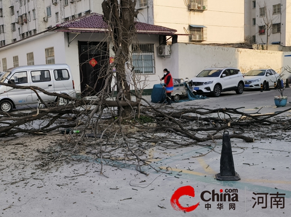 驻马店市驿城区东风街道仓库路社区： 携手清树除危患 助推“共建共享”星