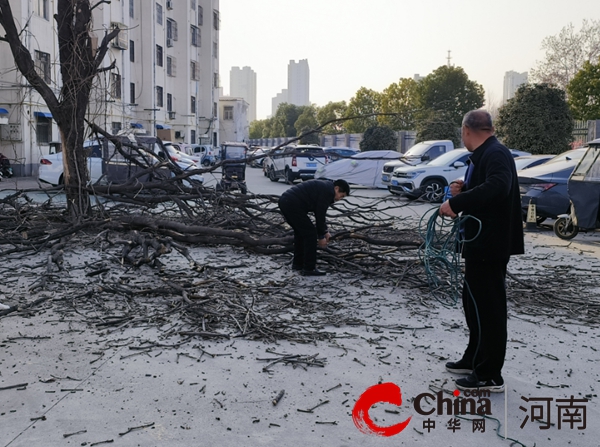 驻马店市驿城区东风街道仓库路社区： 携手清树除危患 助推“共建共享”星