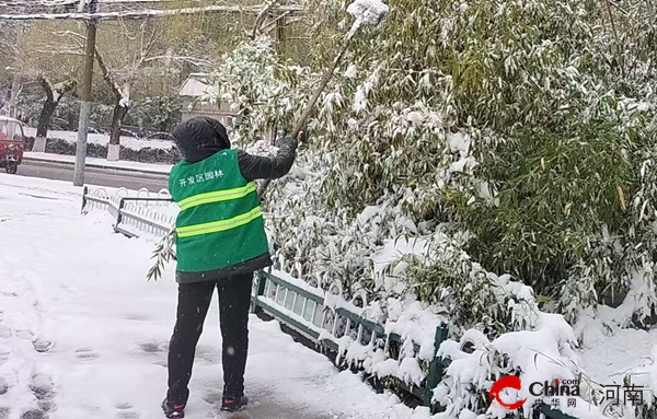 驻马店开发区城市管理局：浴“雪”奋战共发力 扫雪除冰护出行