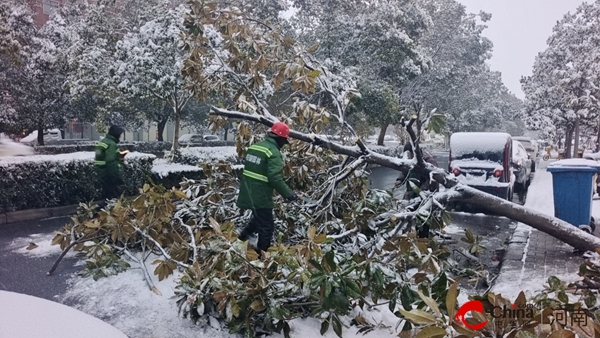 西平縣園林綠化中心以雪為令做好極端天氣應(yīng)急處置工作