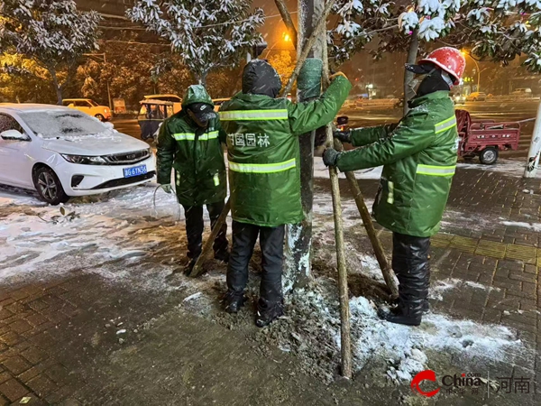 西平縣園林綠化中心以雪為令做好極端天氣應(yīng)急處置工作