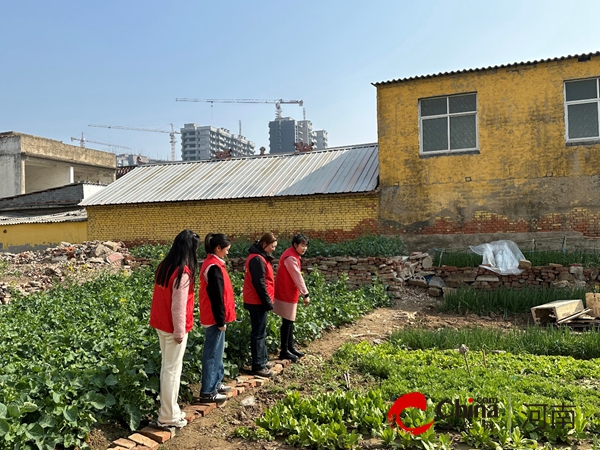 驻马店市驿城区南海街道光明社区：禁毒排查无死角  宣传教育守净土