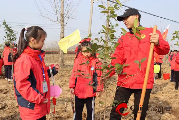 驻马店第二实验小学：履行植树义务  共建美丽天中