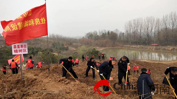 图片5