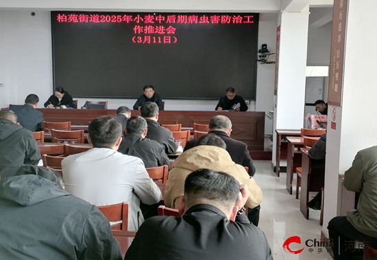 西平县柏苑街道积极开展小麦中后期病虫害防治工作