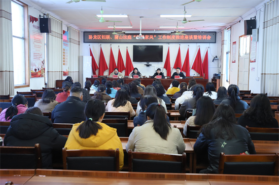 南阳卧龙区法院：“妇联+法院”携手共绘和美家风