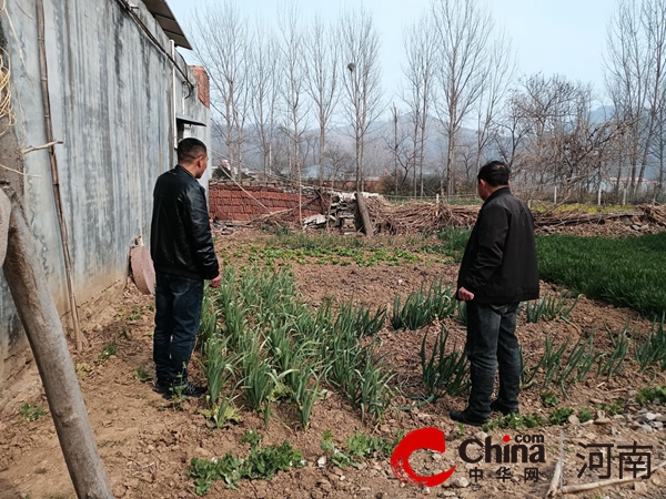 驻马店市驿城区沙河店镇：禁种铲毒在行动 宣传踏查守净土