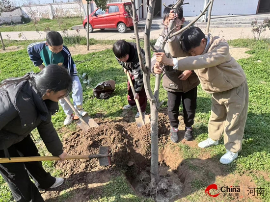 绿色新绿 共筑校园新绿——西平县专探赵寺小学开展植树活动