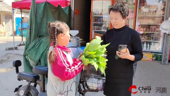 “蔬”香伴成长 “趣”卖暖人心——西平县柏苑街道中心幼儿园开展社会实践活动