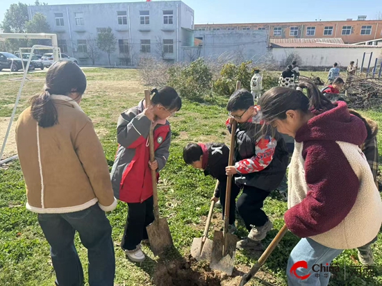 西平县重渠李庄小学:小手种下绿未来 童心守护地球家