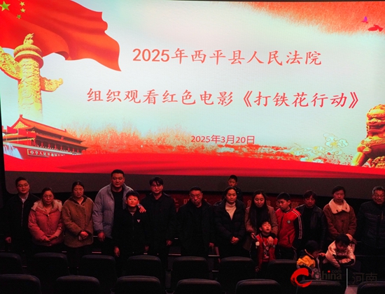 西平法院集中观看抗战题材电影《打铁花行动》
