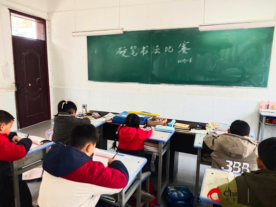 西平县专探双河小学开展硬笔书法比赛活动