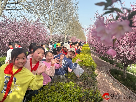 海棠花开 共赴春光——西平县柏城杨庄小学开启海棠文化之旅