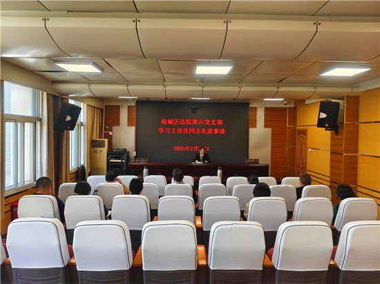 南阳宛城区法院开展学习王佳佳同志先进事迹活动