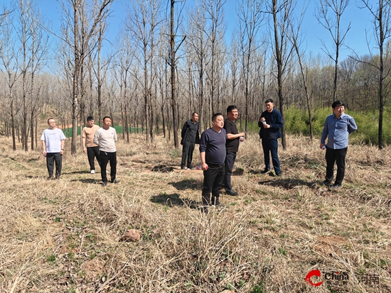 西平县组织开展森林防灭火督导检查工作