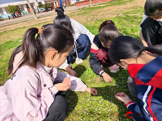 春光有限 创意无限——西平县盆尧盆西小学春日里的创意之约