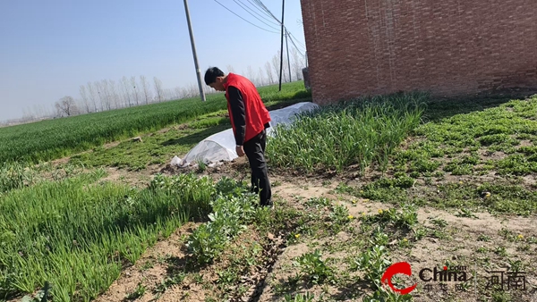 驻马店市驿城区古城街道:禁毒铲毒不止步 守护家园筑幸福