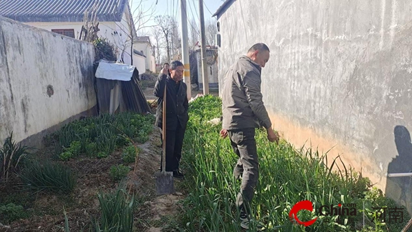 驻马店市驿城区诸市镇：筑牢禁种铲毒防线 守护乡镇无毒净土