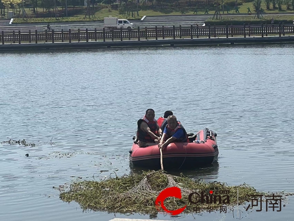 守护一城碧水！确山县住建局清淤除草保河畅水清