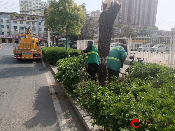 驻马店开发区城市管理局：防治飞絮解民忧
