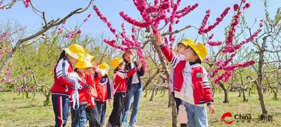 春耕正当时 童趣满田园——西平县直第二幼儿园开展劳动教育实践活动