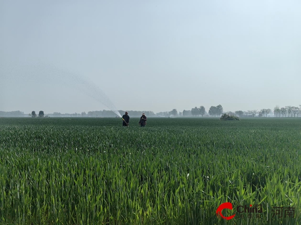 驻马店市驿城区沙河店镇：干群联动抗旱情 多措并举保春耕