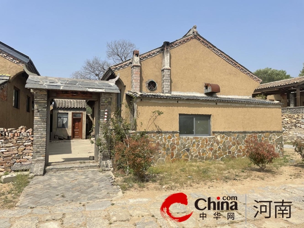 省市领导调研确山县小城镇提质培优工作