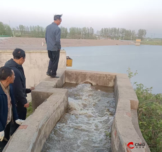 西平县出山镇：多措并举抗旱保苗 力保小麦稳产丰收