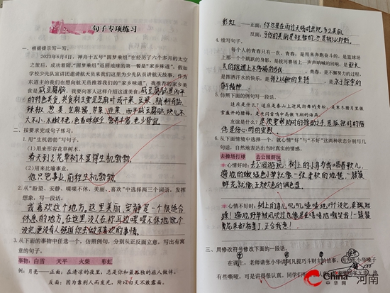检查促规范 规范促提升——西平县柏苑芳庄小学2025年春期期中作业教案检查