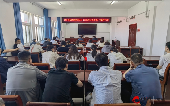 西平县应急管理局召开《中华人民共和国未成年人保护法》专题学习会