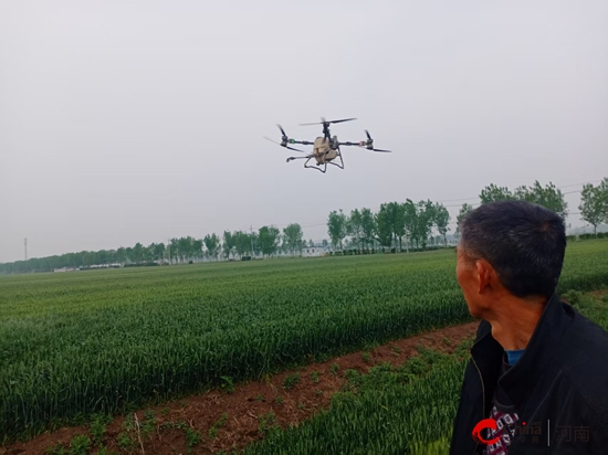 西平县师灵镇：开展“一喷三防” 助力小麦丰收