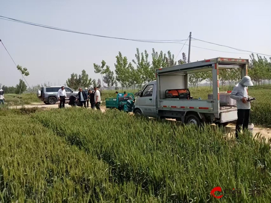 西平县盆尧镇全力推进小麦“一喷三防”筑牢夏粮丰收根基