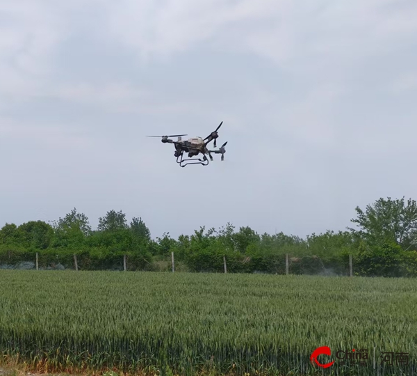 驻马店开发区关王庙乡：做好小麦“一喷三防” 助力小麦丰产增收