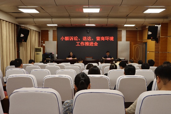 南阳宛城区法院召开小额诉讼、送达、营商环境工作推进会