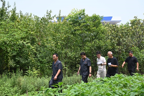 唐河县法院：实地勘验明案情 精准测绘促公正