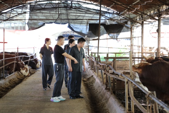 新野县法院开展全国生态日普法宣传进企业活动
