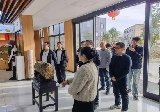 南阳宛城区：皖宛携手共筑艾草产业新生态