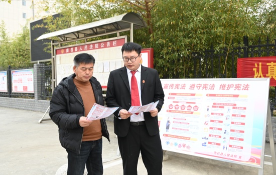 南召法院开展“国家宪法日”普法宣传活动图片2