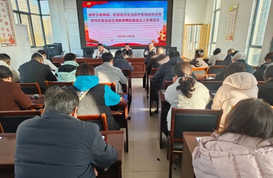 河南新野召开精神病、医养结合定点医疗机构违法违规使用医保基金专项检查暨医保重点工作推进会