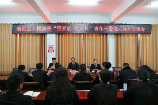 新野县法院召开“强素能 促成长”青年干警能力提升交流会
