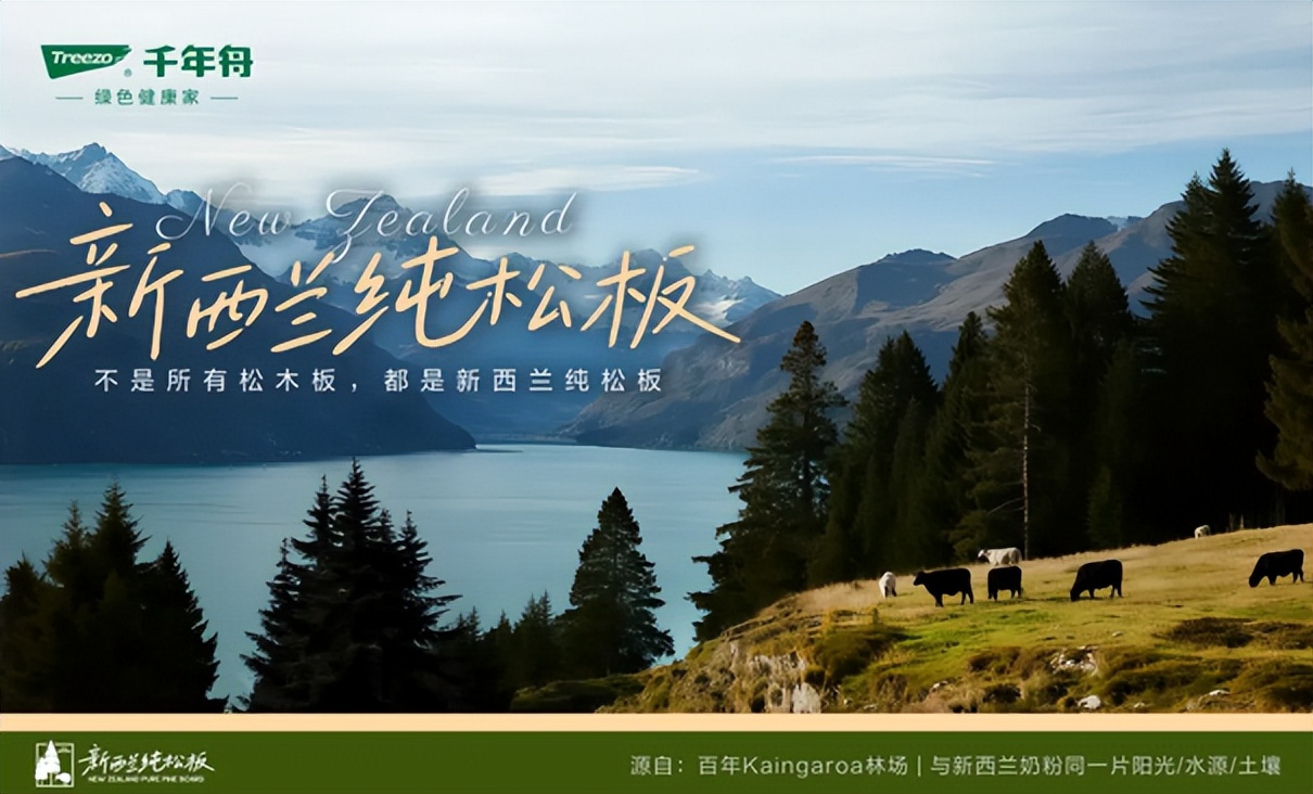 从新西兰到您家！千年舟·新西兰纯松板的3大核心密码，解锁健康松弛生活