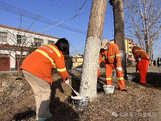 【睢阳动态】区公路事业发展中心：路林刷白闪亮点 安全颜值比翼飞