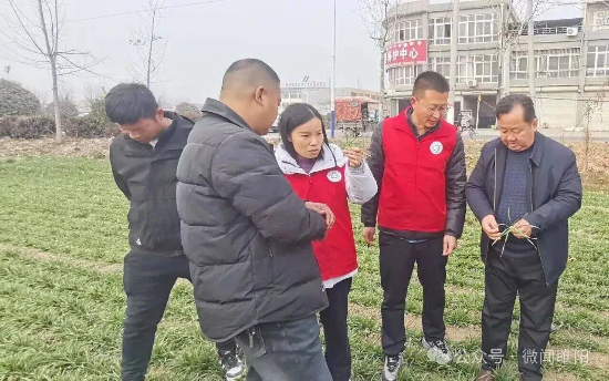 【睢阳动态】区科技局：科技服务暖田垄 精准指导护苗安