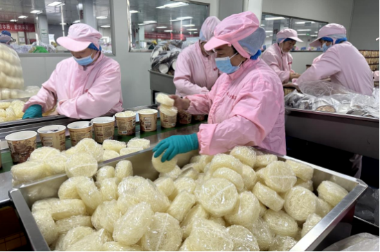 南阳宛城区：铆足干劲忙生产 全力冲刺“开门红”