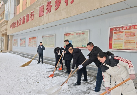 以雪为令 行动暖冬——方城县法院组织开展扫雪除冰行动