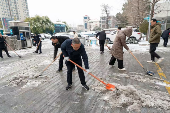 南阳宛城区委社会工作部:统筹联动聚合力 破冰除雪显担当