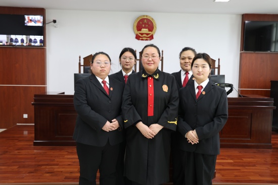 南阳卧龙区法院王丽飞：深耕道交审判 践行为民初心