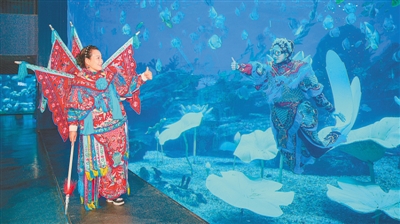 郑州海昌以“海洋+”打造春节“神仙节”