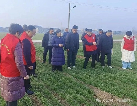 睢阳区科技局：立春送技助农忙  护航夏粮丰产望